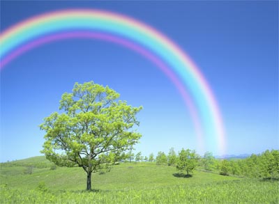 exp-rainbow-main.jpg