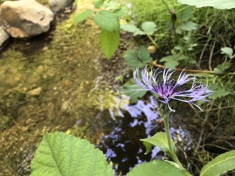 20170622_170701_0007