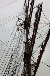 IMG_7465.png