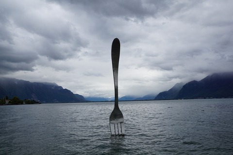 fork-977499_1920