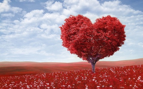 heart-shape-1714807_960_720