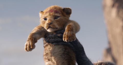 【解禁日時:2月26日(火)17時】『ライオン・キング』場面写真