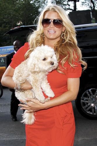 jessica-simpson-072408-01a.jpg