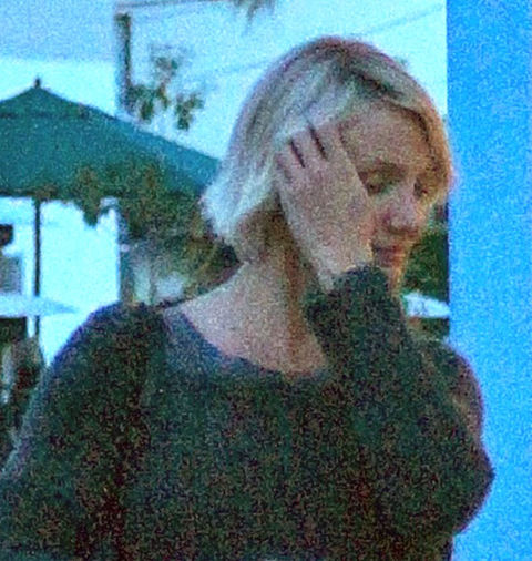 fpcam2012113_2