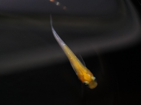 03DSC00843