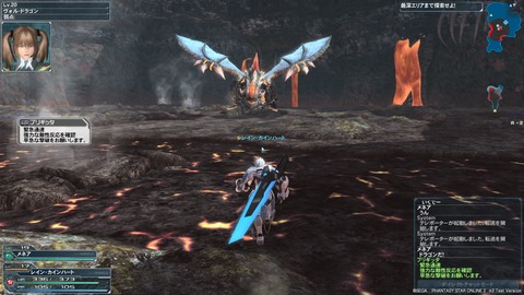 pso20120204_232704_035