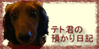 teto_banner01