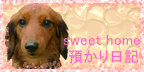 teto_banner03