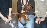 2008101901