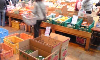 野菜その2