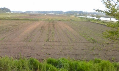 田園風景