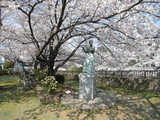 真間川3