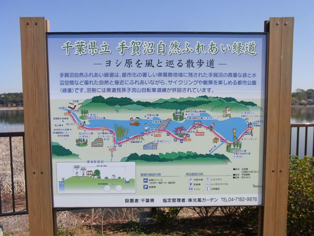 teganu01