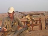 falconry