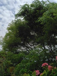 KIMG0316