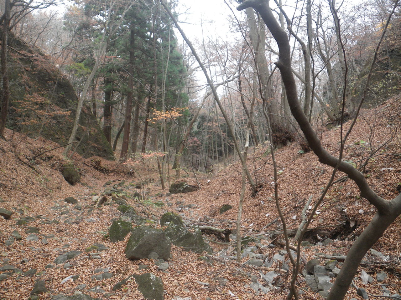 IMGP0696