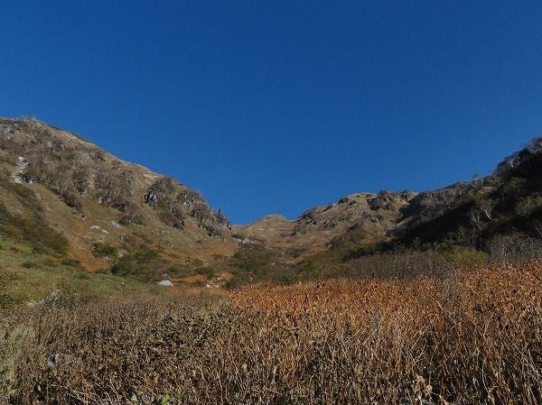 DSC02665