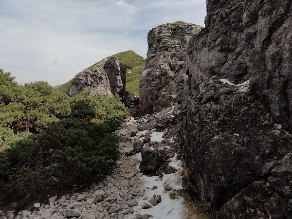 DSC03116