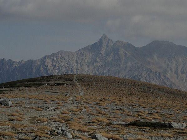 DSC02955