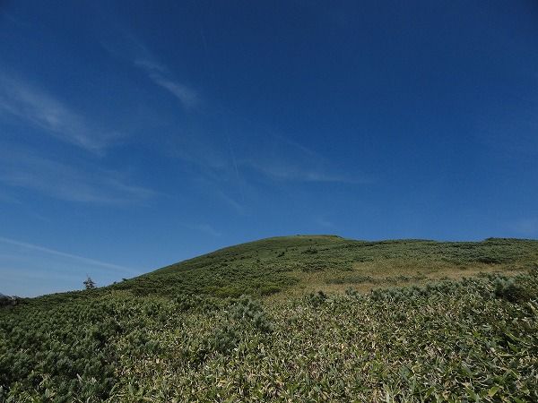 DSC02802