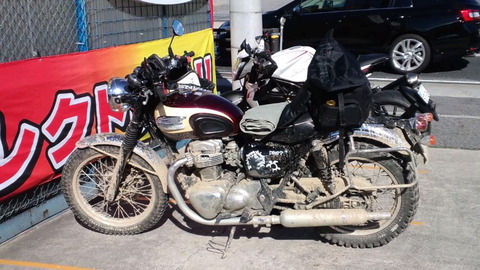 9172f968.jpg