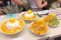 25b0d632.jpg