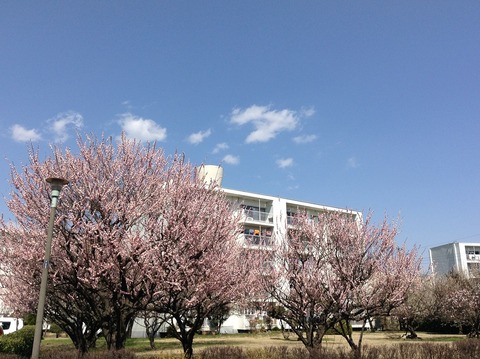 立川市