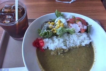 Cafe Hoshi-Meguri 初夏のグリーンカレー