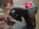 BlogPaint
