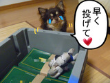 BlogPaint