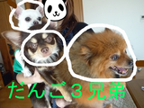 BlogPaint