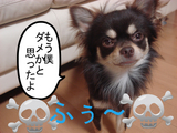 BlogPaint