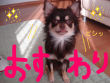 BlogPaint