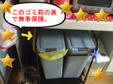 BlogPaint