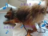 BlogPaint