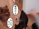 BlogPaint