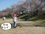 BlogPaint