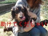 BlogPaint