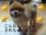 BlogPaint