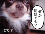 BlogPaint