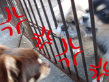 BlogPaint