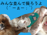 BlogPaint