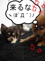 BlogPaint