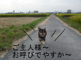 BlogPaint