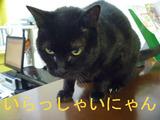 BlogPaint