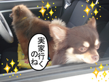 BlogPaint
