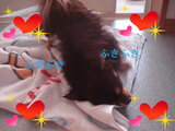 BlogPaint
