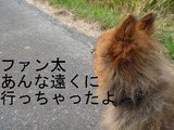 BlogPaint