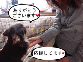 BlogPaint