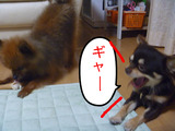 BlogPaint